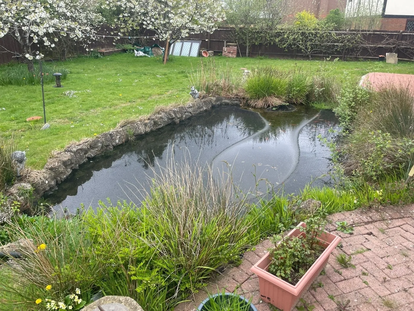 Pond Cleaning in London – Professional Pond Care for Urban Gardens